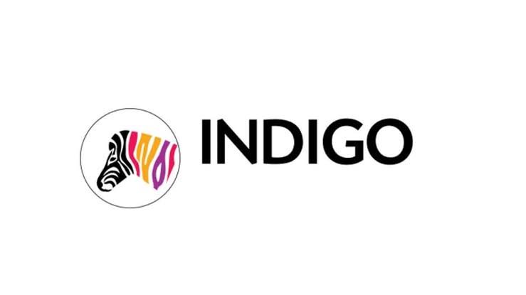 Indigo
